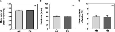 Diurnal Variations in Vascular Endothelial Vasodilation Are Influenced by Chronotype in Healthy Humans